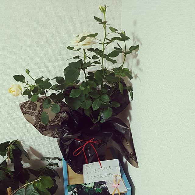 usakoさんの実例写真