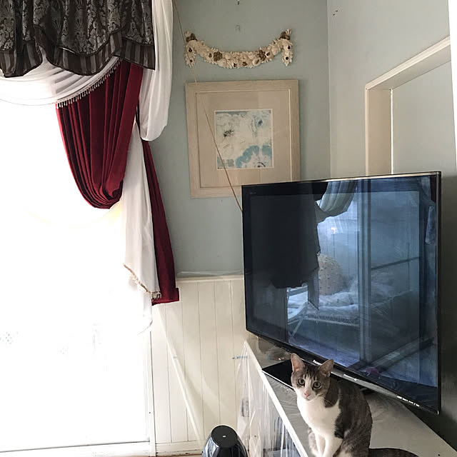 merisannさんの実例写真