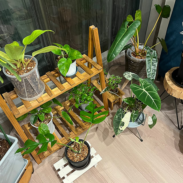 kumaさんの部屋