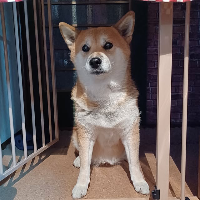 nanaさんの部屋