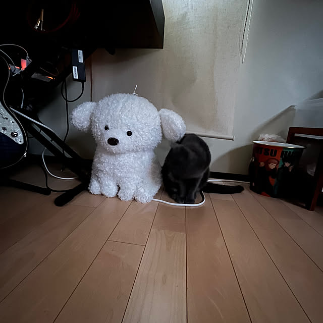 nekoさんの部屋