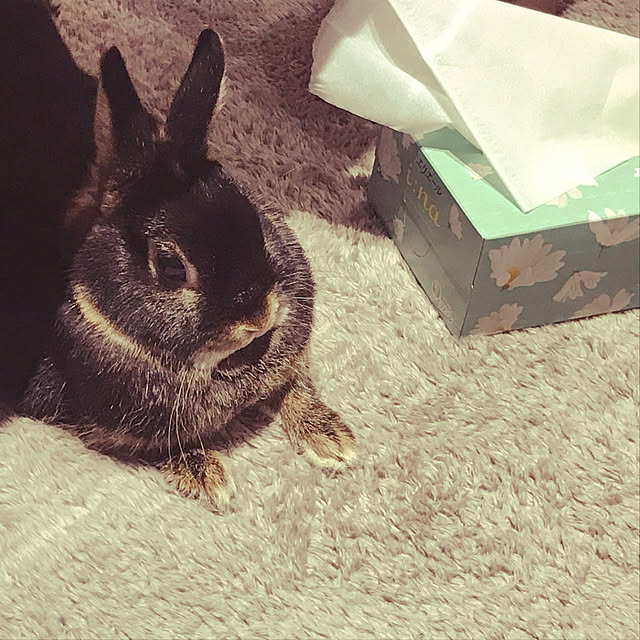caaaanaさんの実例写真