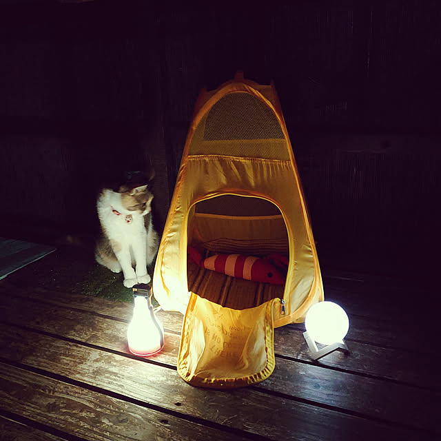 fukuさんの実例写真