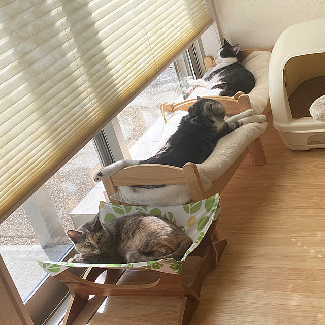 saki..uさんの実例写真