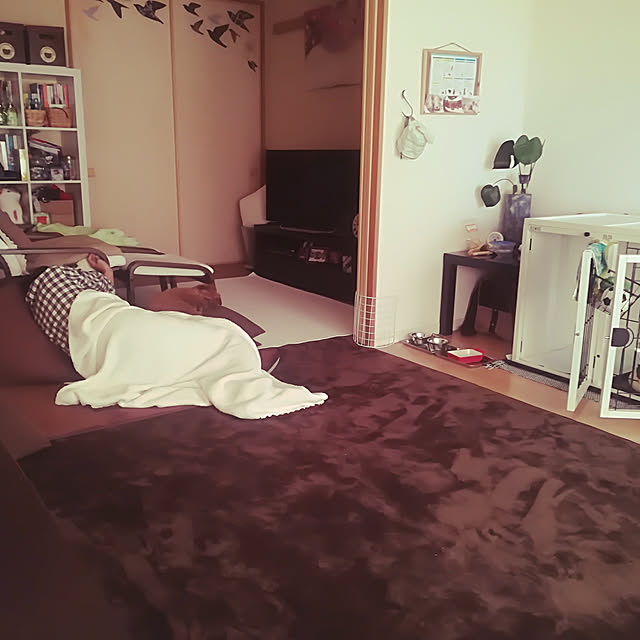 junjunさんの実例写真