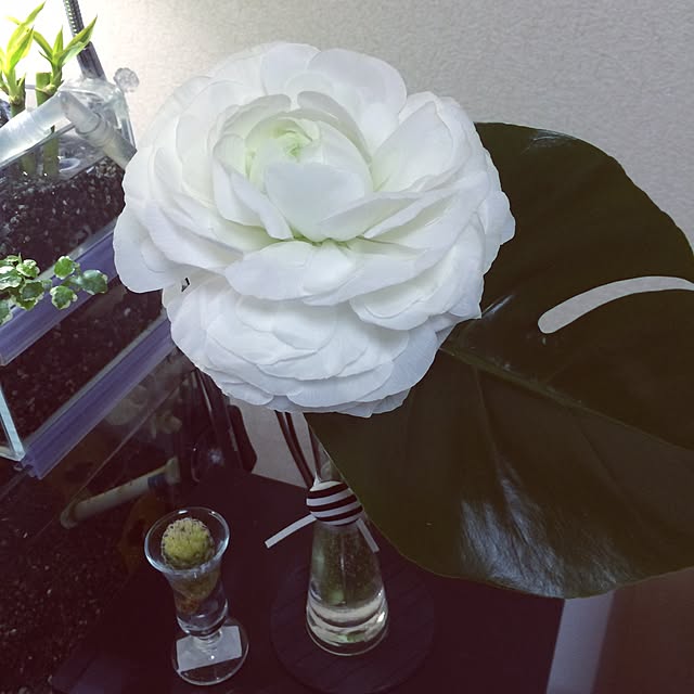 caさんの実例写真