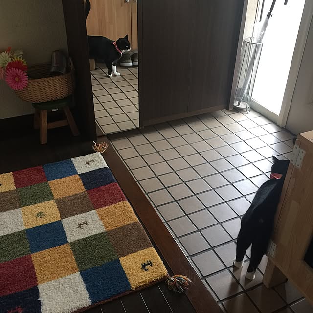 mtkさんの実例写真