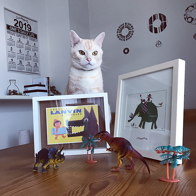 hiyupan88さんの実例写真