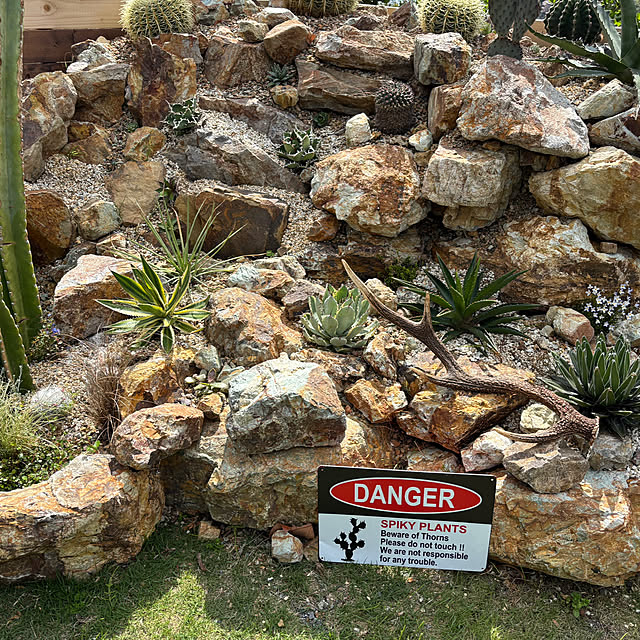 bonber0212さんの実例写真