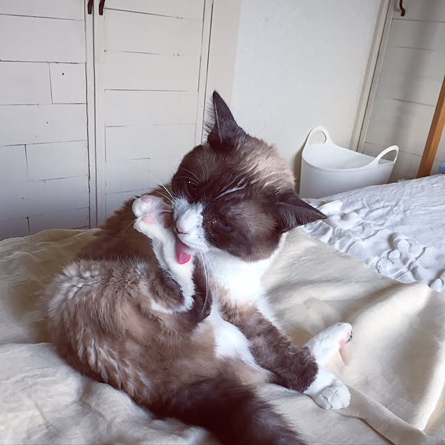 NPGHさんの実例写真