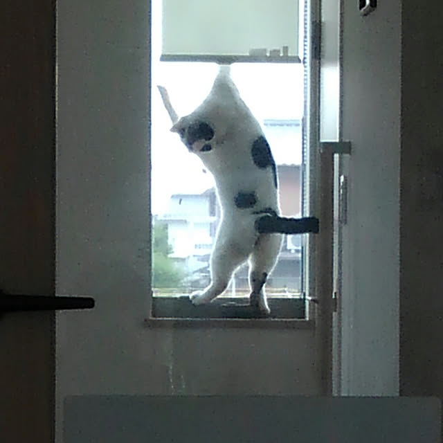 ritokichiさんの実例写真