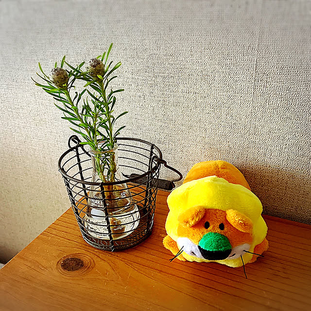 makotsuさんの実例写真