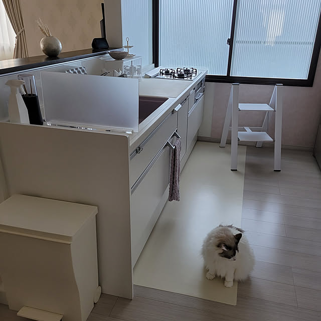 miruさんの実例写真