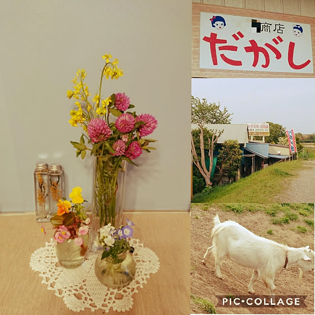 yokomokoさんの実例写真
