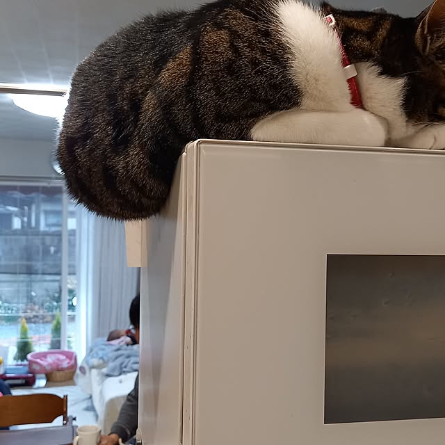civicglさんの部屋