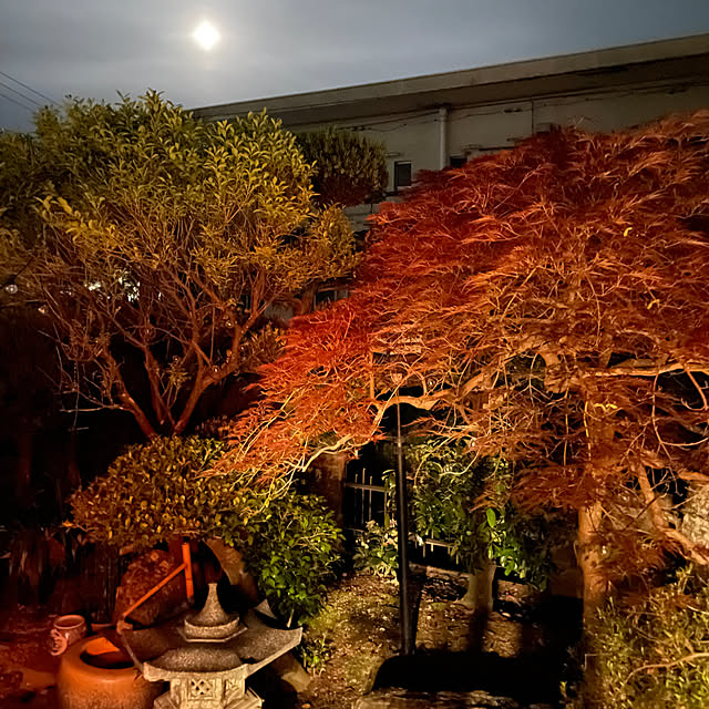 shin0719さんの実例写真