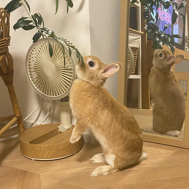 Minさんの実例写真