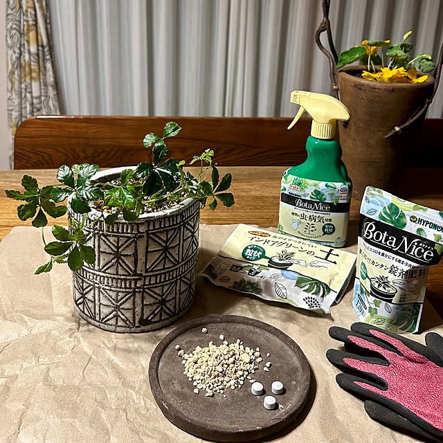 botanさんの実例写真
