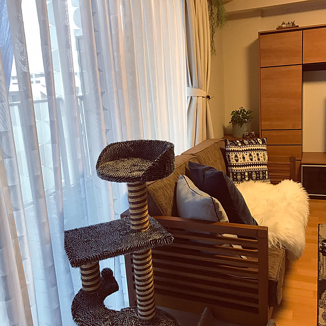 hiyupan88さんの実例写真