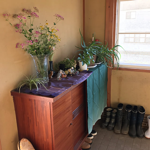 aoinokimiさんの部屋