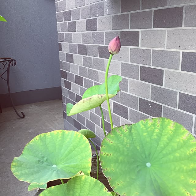 hideさんの実例写真
