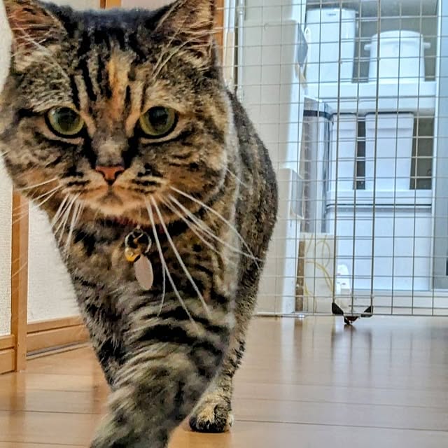 noguriさんの部屋