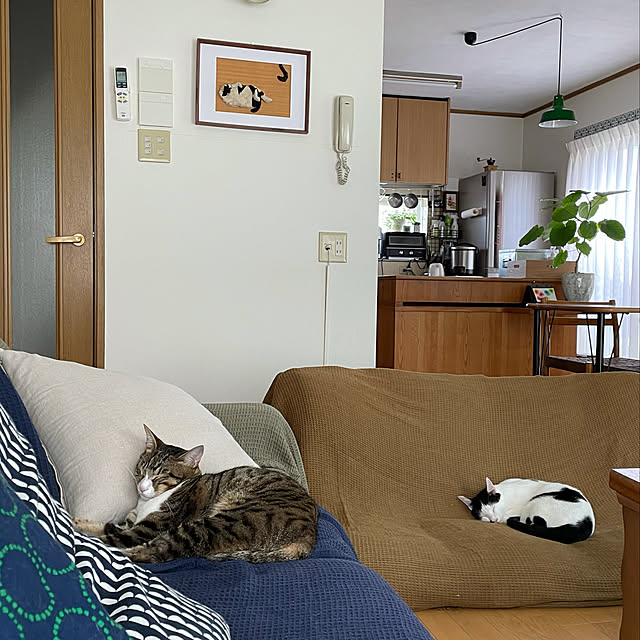 nobikoさんの実例写真