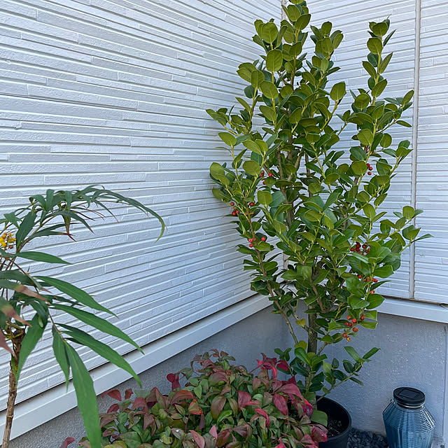 mitumameさんの部屋
