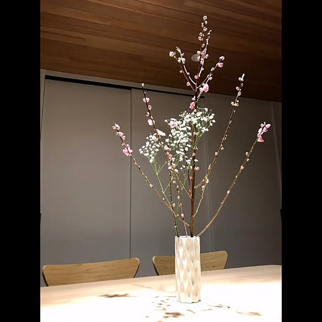 ktm6365さんの実例写真