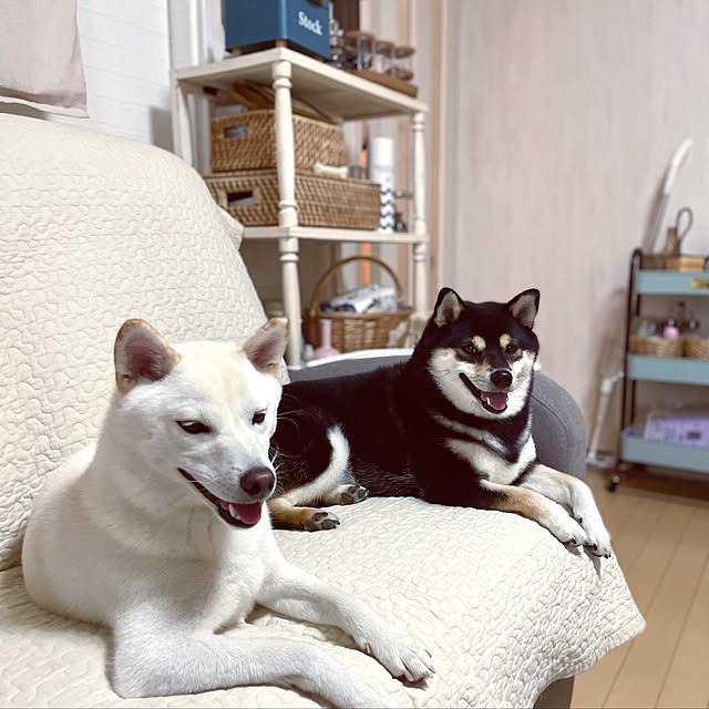 mo-nosukeさんの実例写真