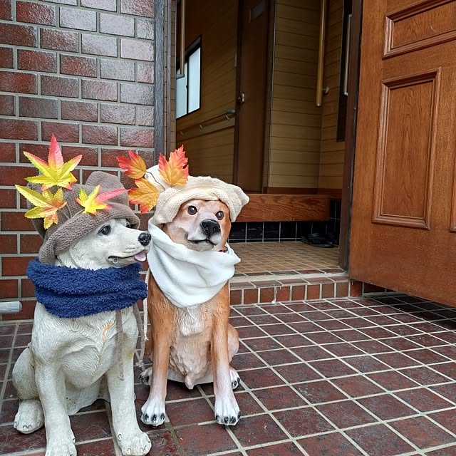 NOAHさんの実例写真