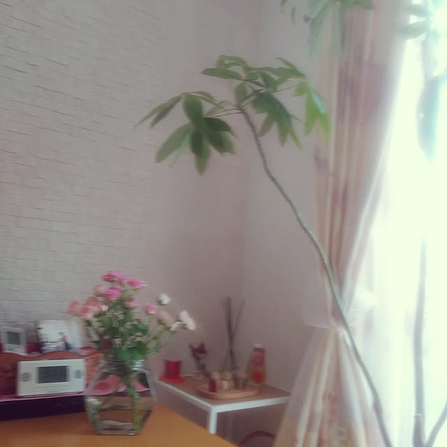 myprinceryuさんの実例写真