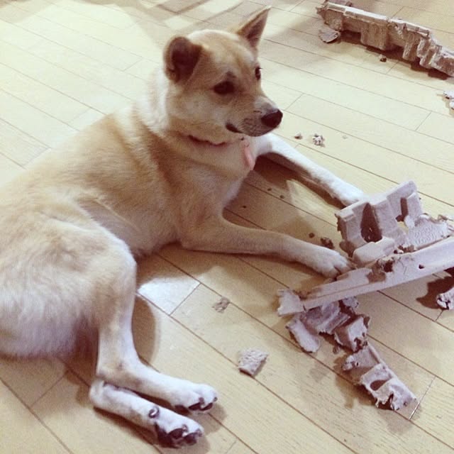leonaさんの実例写真