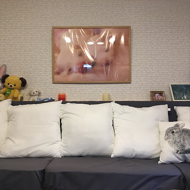 konohaさんの実例写真