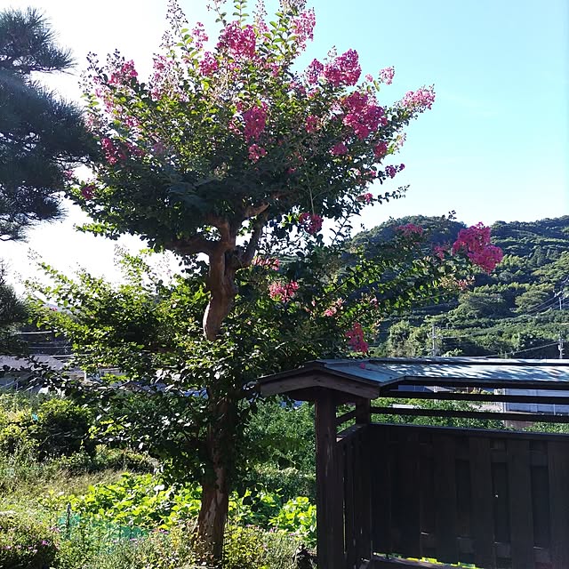 kuririnmamaさんの実例写真