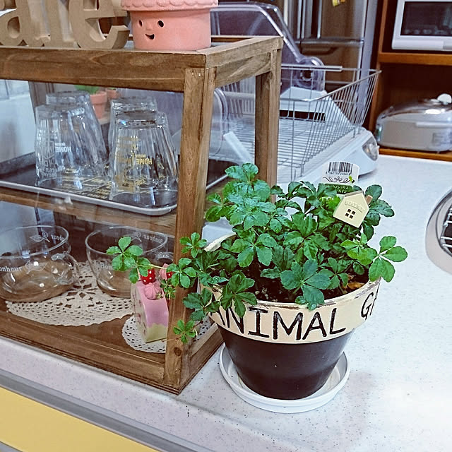 misarikuさんの実例写真