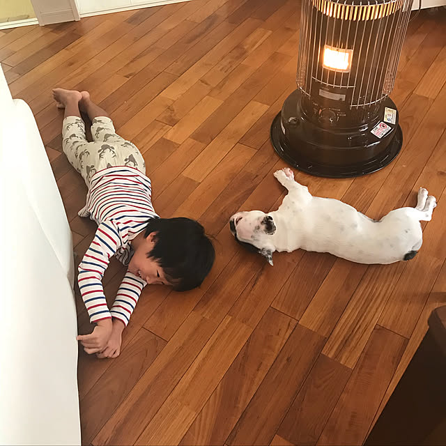 リビング/トヨトミブラック/トヨトミ/石油ストーブ/犬とこどものいる暮らし...などのインテリア実例 - 2018-10-25 21:08:41