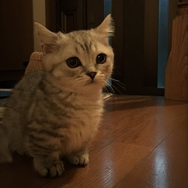 yuさんの実例写真