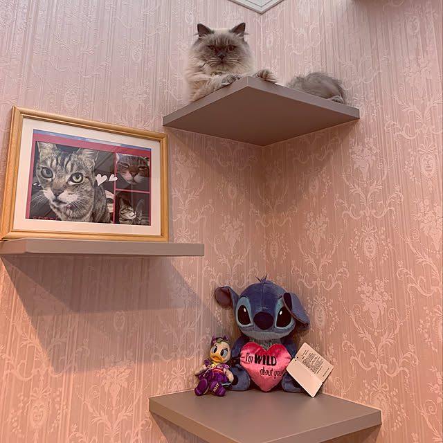u-sh.haruさんの実例写真