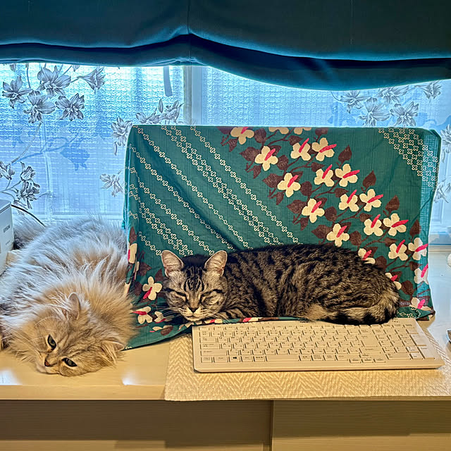 akimamさんの部屋