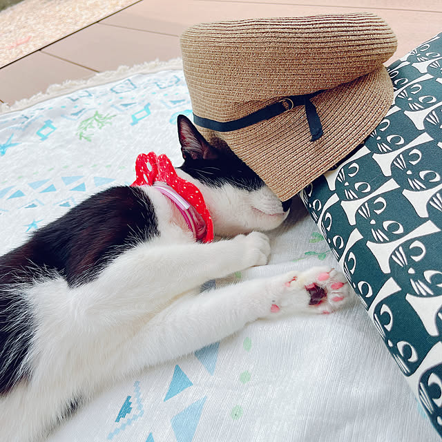 moolさんの部屋