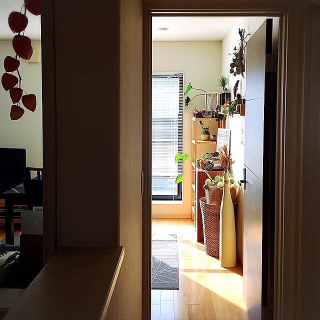 ElliottLeopard4523さんの実例写真