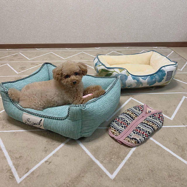 Samさんの実例写真