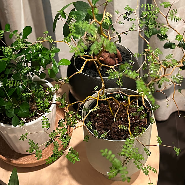 raiさんの部屋