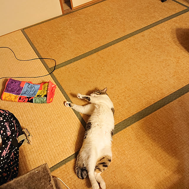 okyosan101さんの実例写真