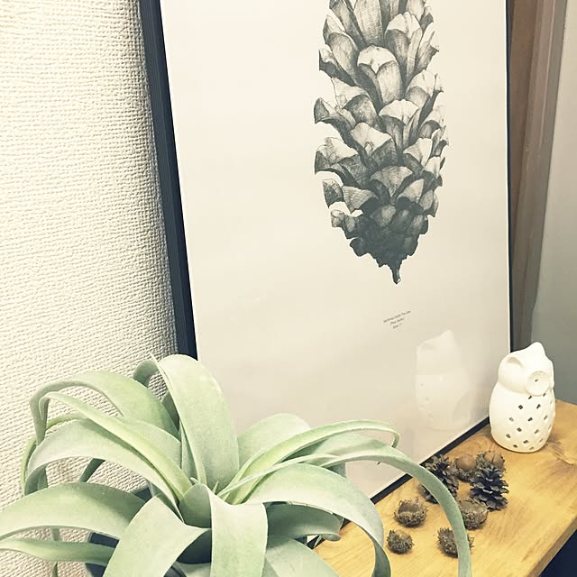 Hororoさんの実例写真
