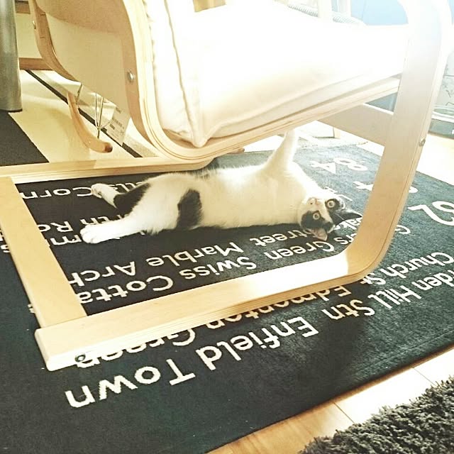 実例写真