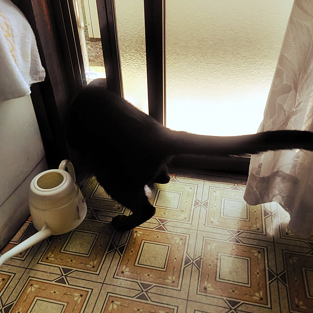 hiroさんの実例写真
