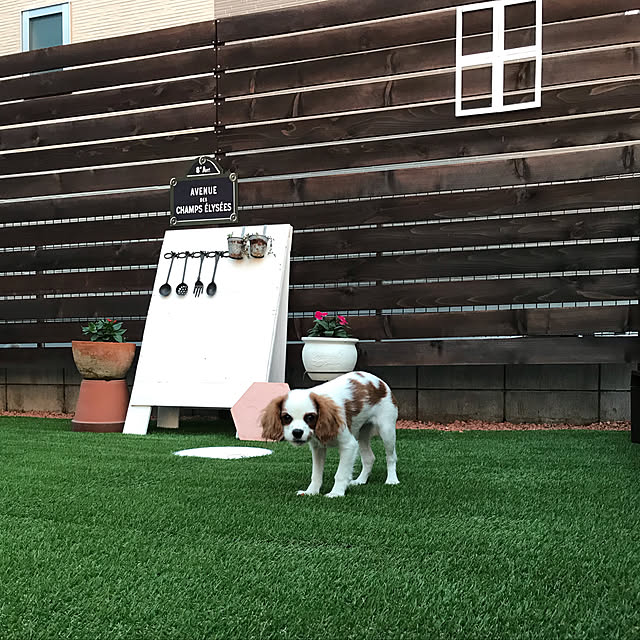 canmilmamaさんの実例写真