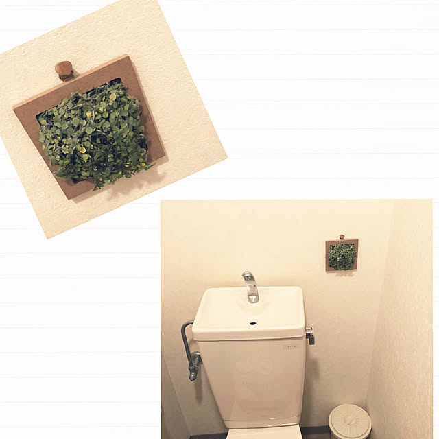 trs623さんの実例写真